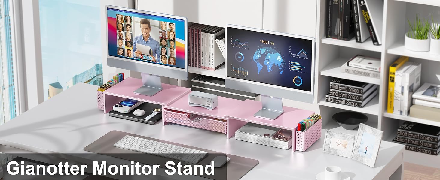 dual monitor stand