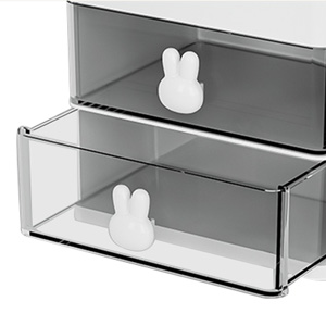 makeup organizer with drawers