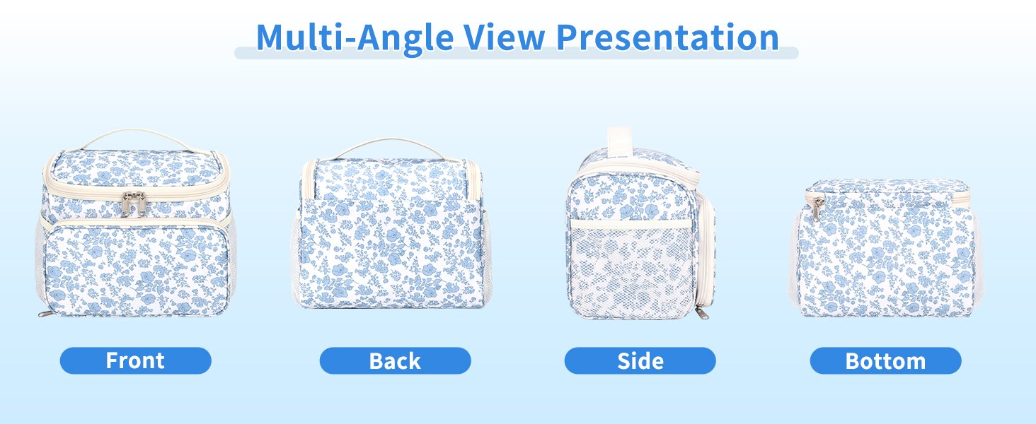 Multi-Angle View Presentation