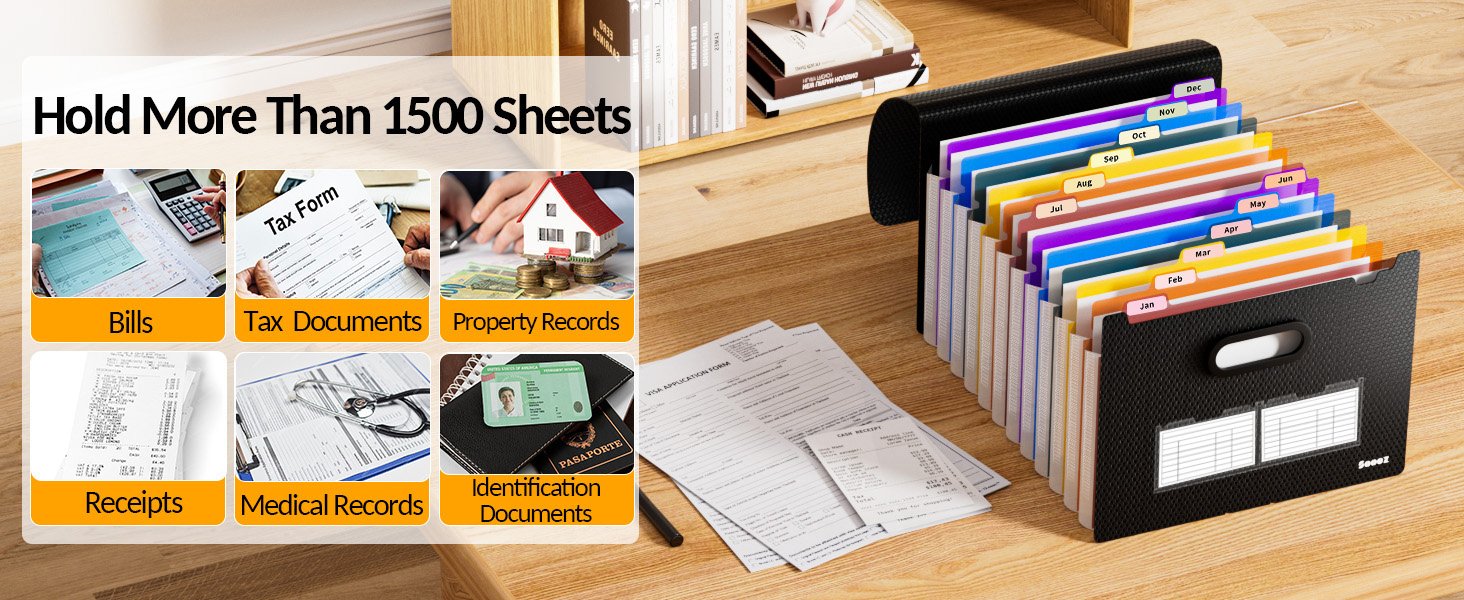 large capacity filing organizer